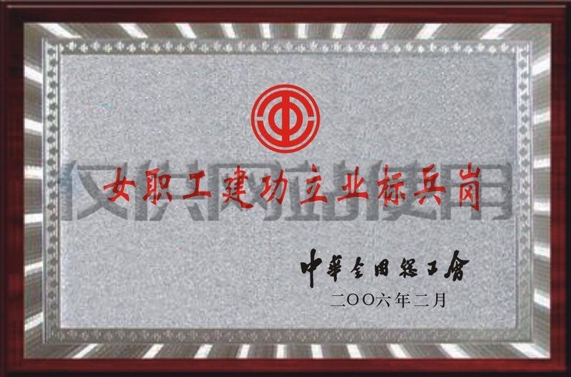 2006年獲全國總工會“女職工建功立業(yè)標(biāo)兵崗”